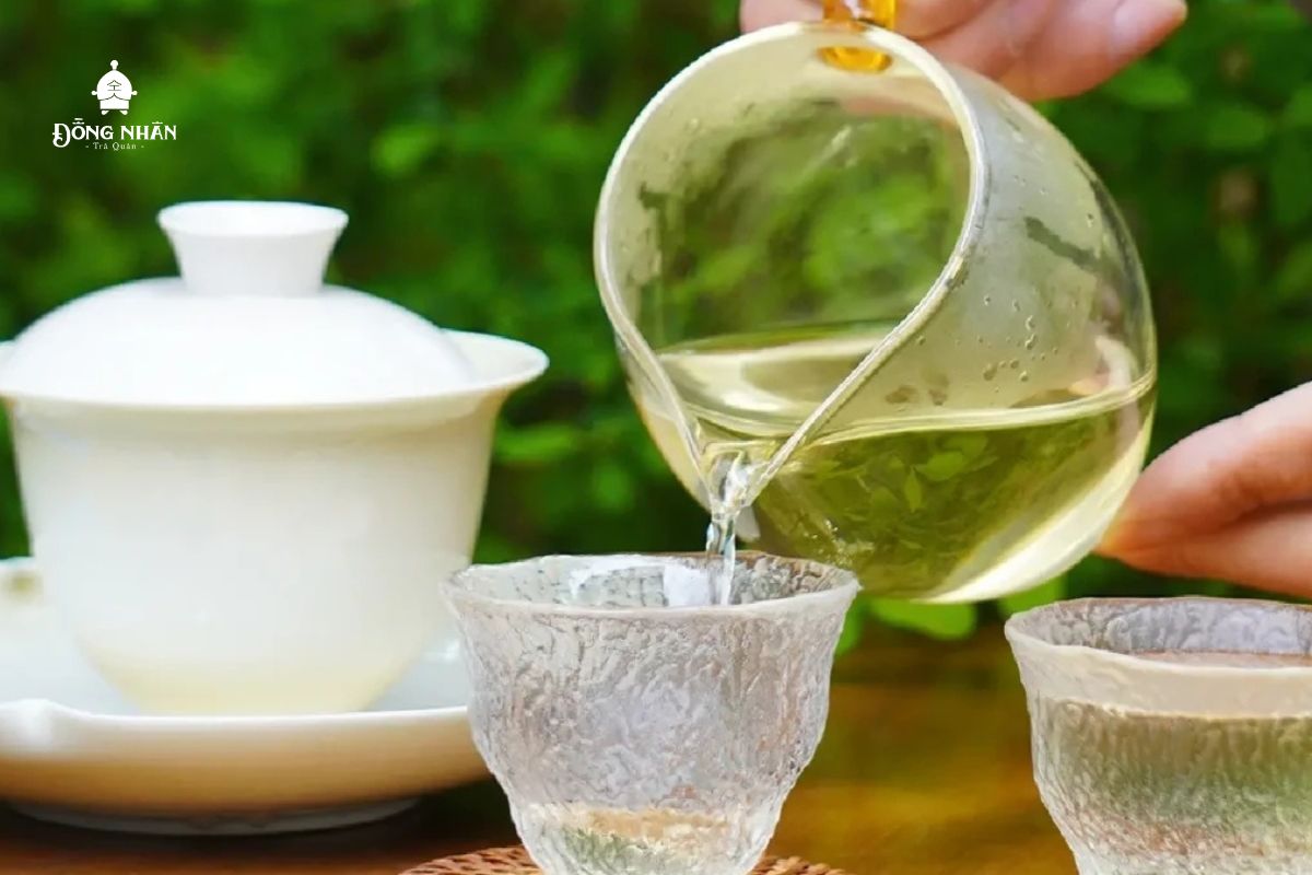 TRÀ XUÂN LÀ GÌ? TRÀ XUÂN CÓ GÌ TỐT? LÀM THẾ NÀO ĐỂ NHẬN BIẾT TRÀ XUÂN?